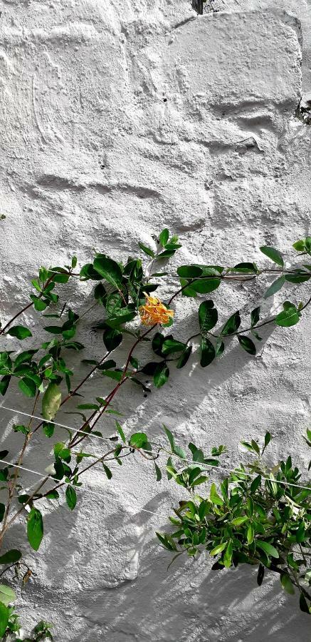 The Star Inn Hayle Bagian luar foto